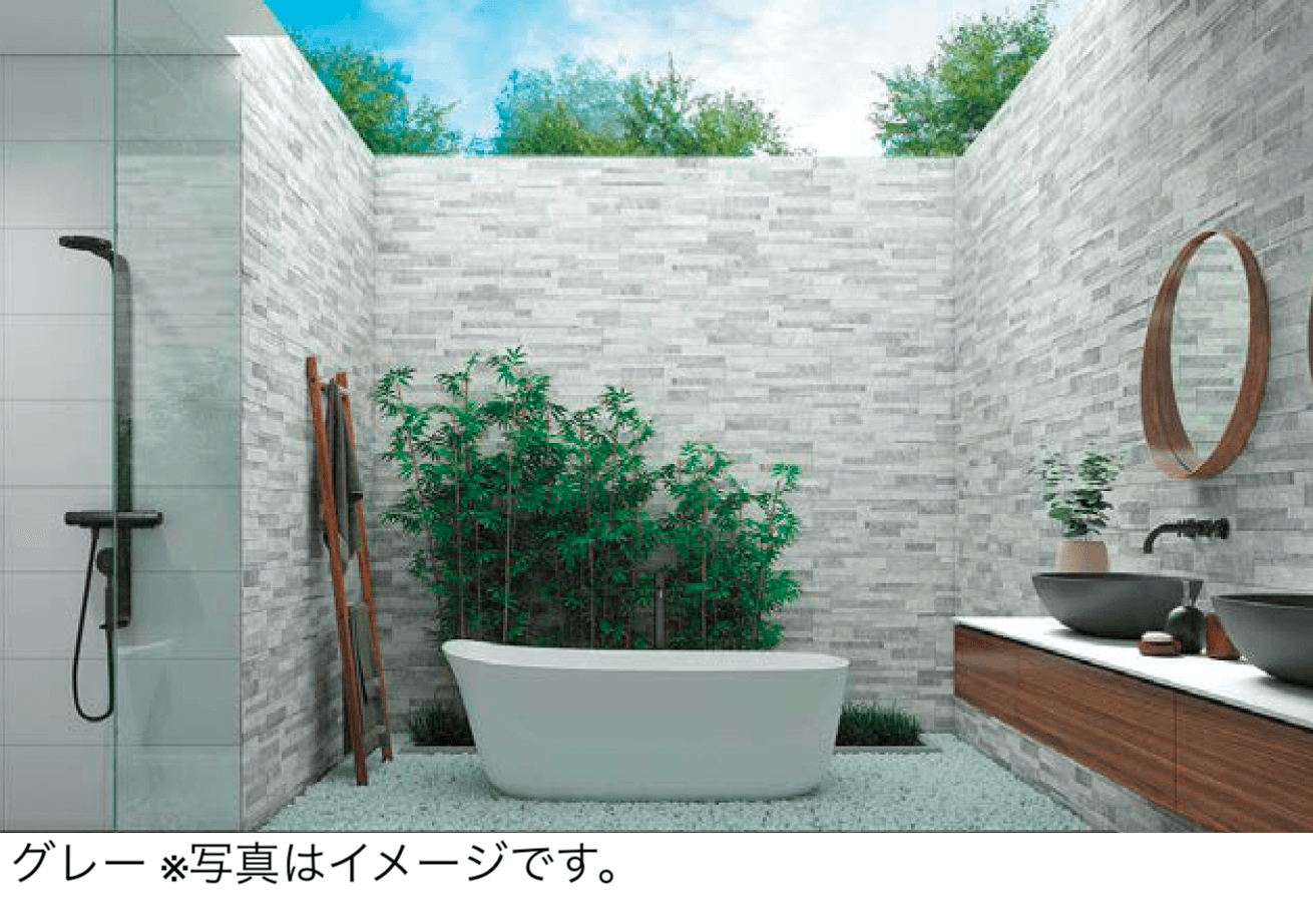 エクシスランドの「レイリア」のサブ画像4