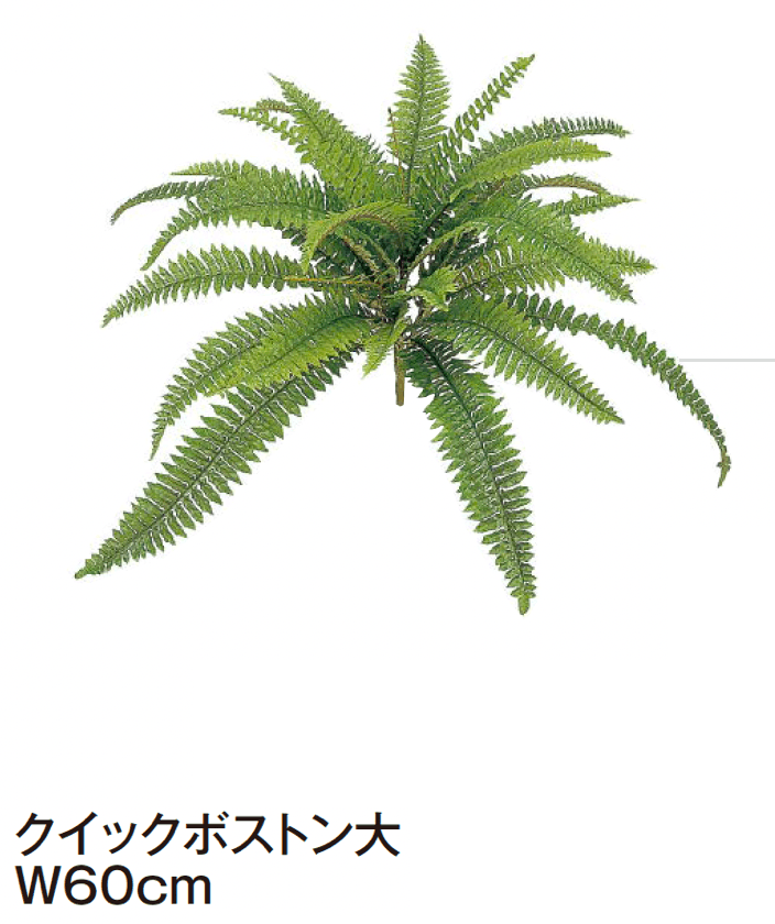 タカショーの「グランドカバー 下草【2024年版】」のサブ画像18