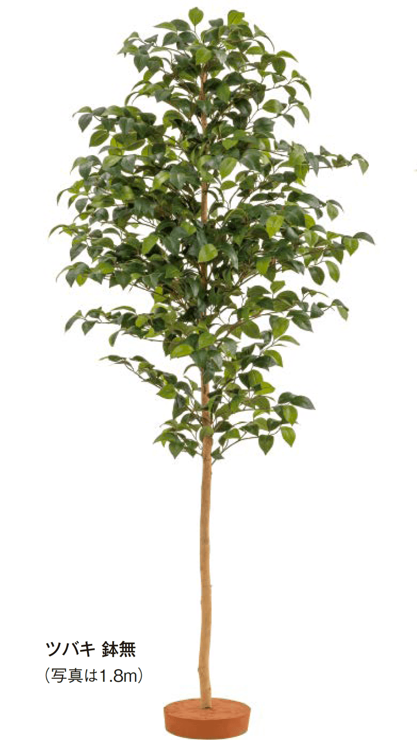 タカショーの「和風観葉植物」のサブ画像1