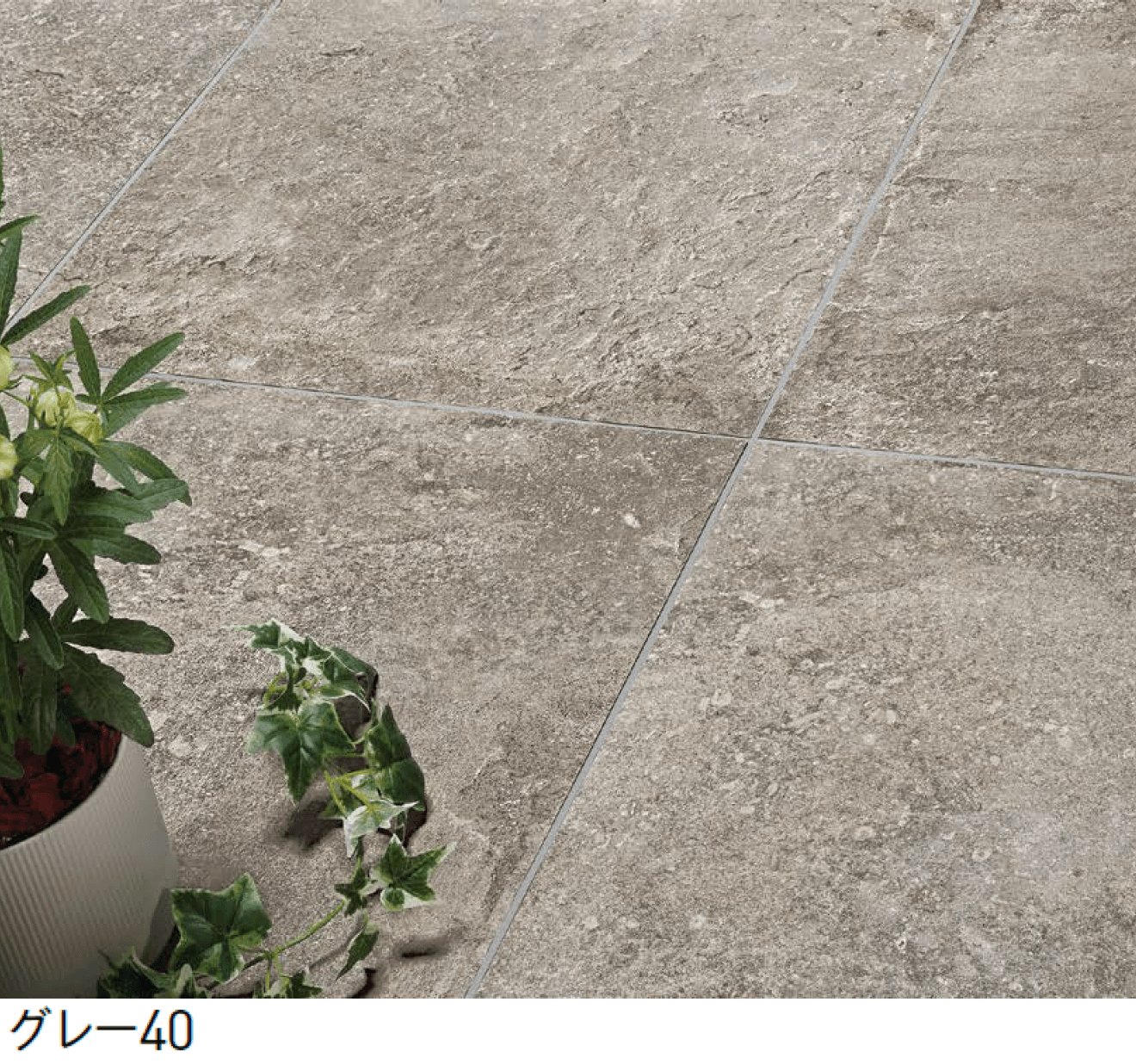 ユニソンの「バサルティ」