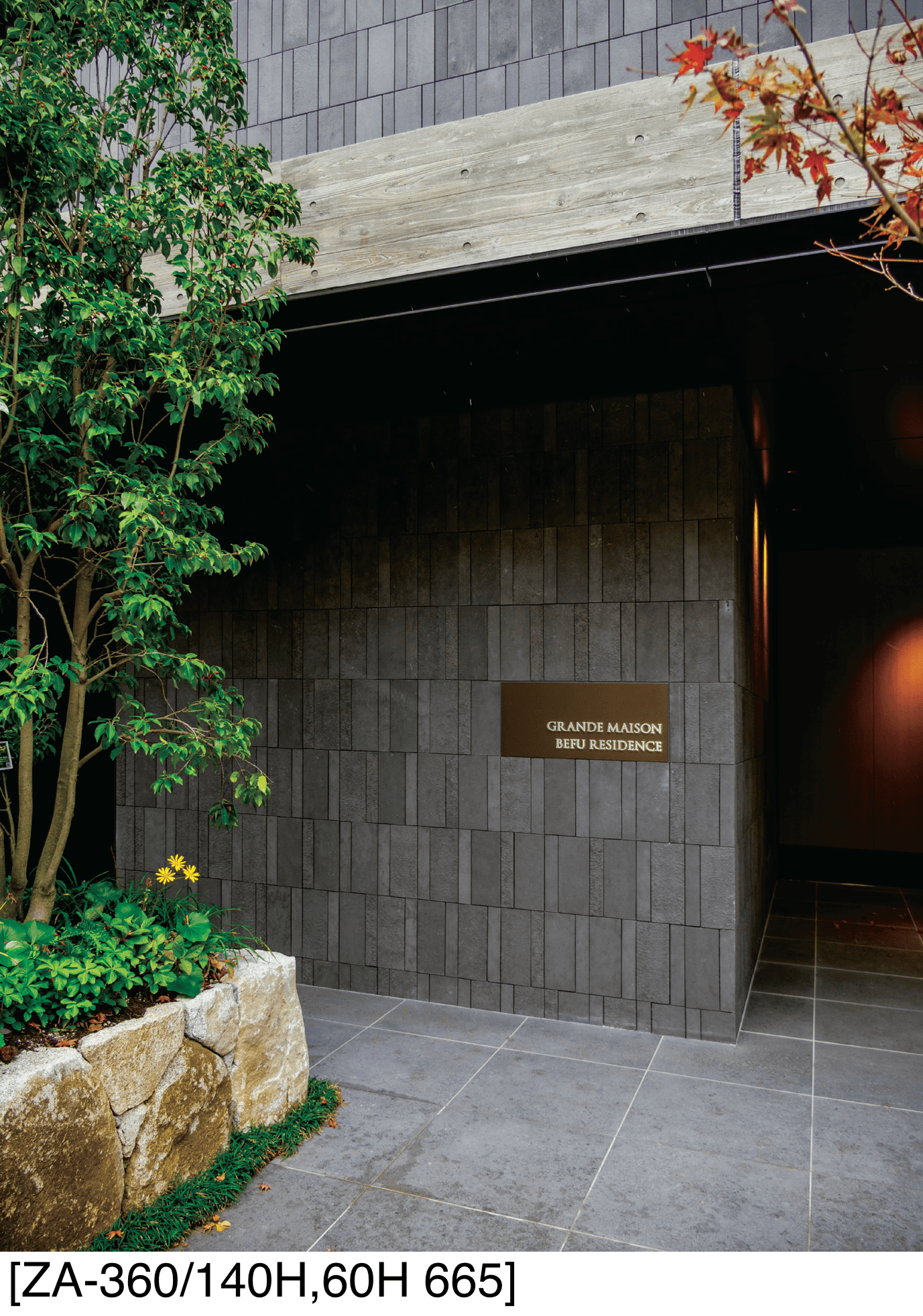 アイコットリョーワの「ザーラ」