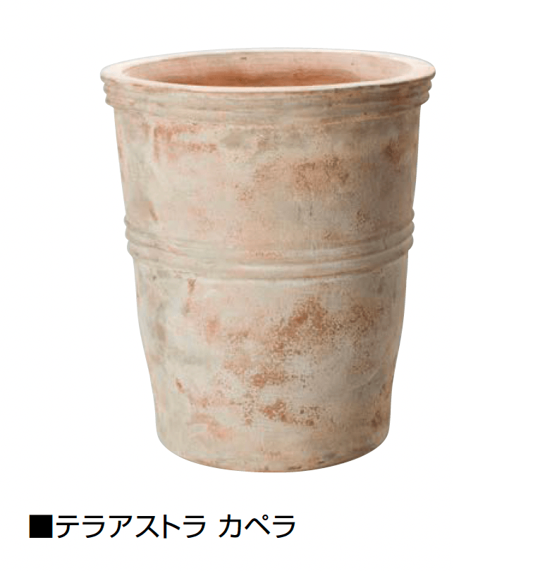 オンリーワンクラブの「テラアストラ」のサブ画像6