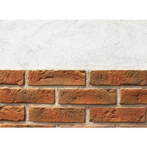 ディーズガーデンの「カンナシスタ【2024年版】」のサブ画像1