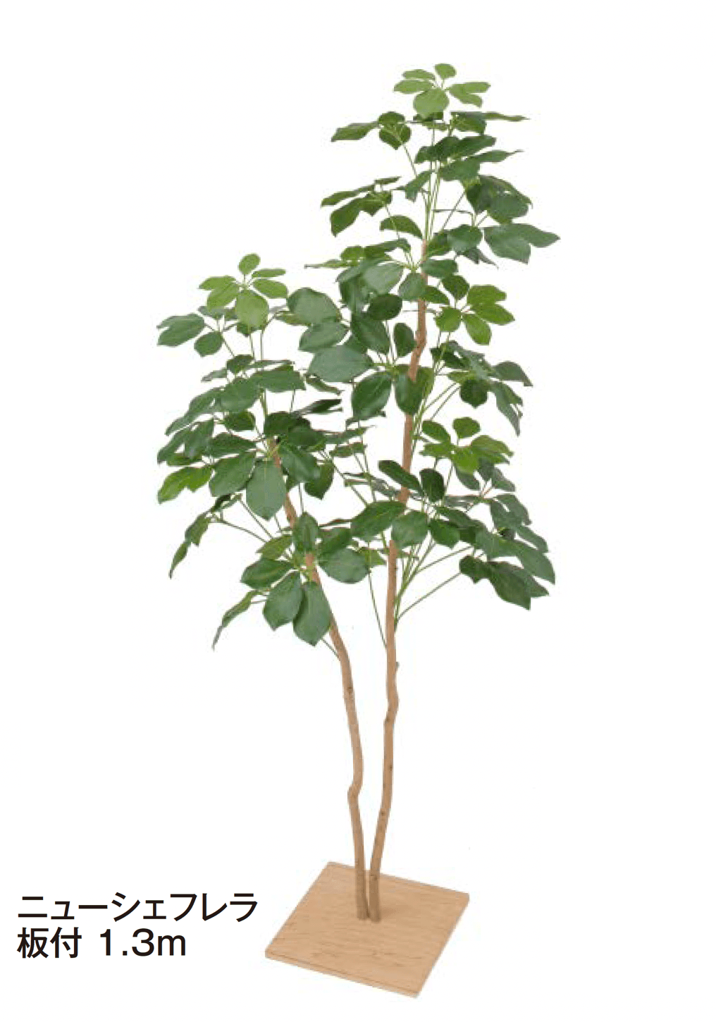 タカショーの「板付【2024年版】」のサブ画像6