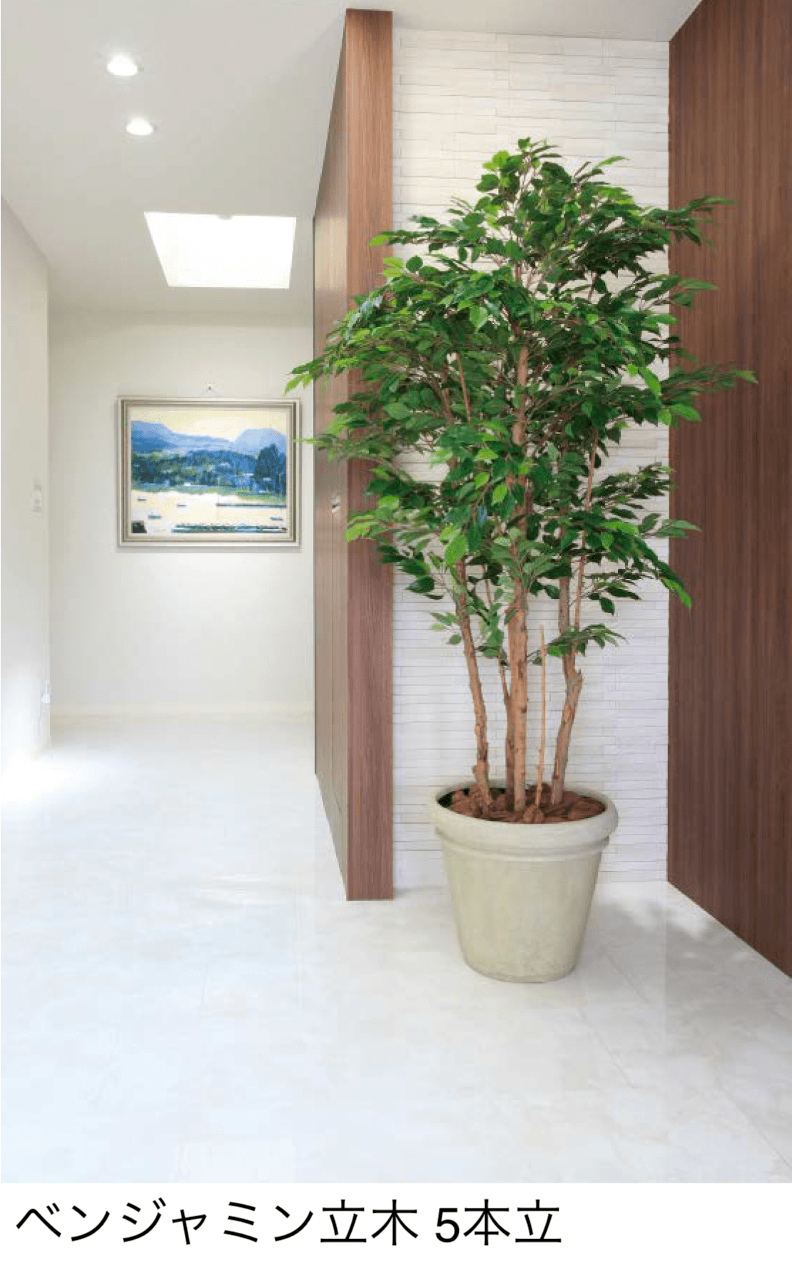 タカショーの「観葉植物」