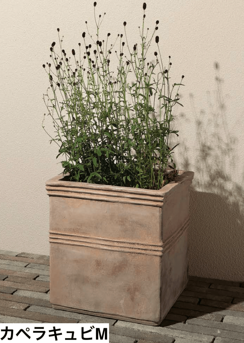 ユニソンの「テラアストラ」