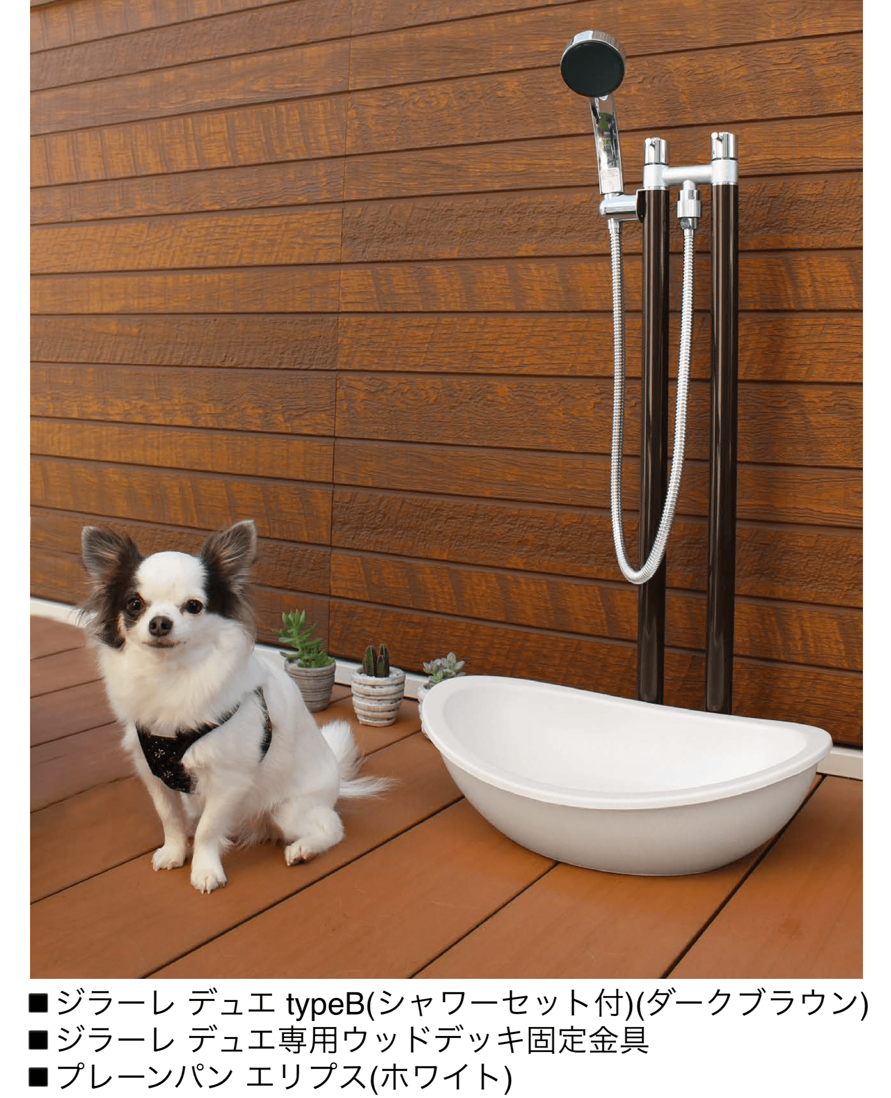 オンリーワンクラブの「ジラーレ デュエ【2024年版】」