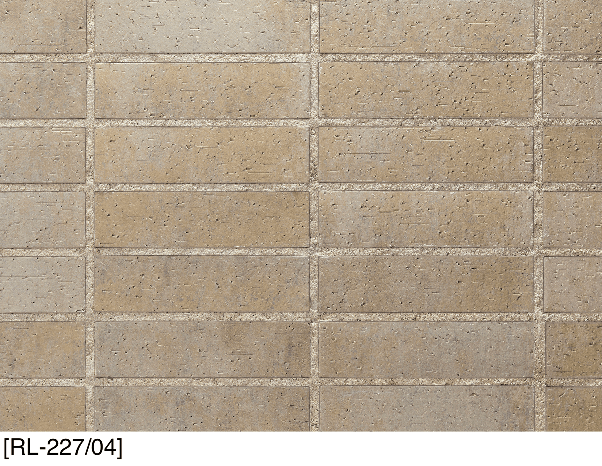 アイコットリョーワの「レリックボーダー」のサブ画像1