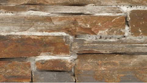 オンリーワンクラブの「ビートルパーチ ウォール」のサブ画像8