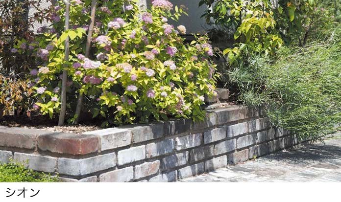 オンリーワンクラブの「極」のサブ画像4