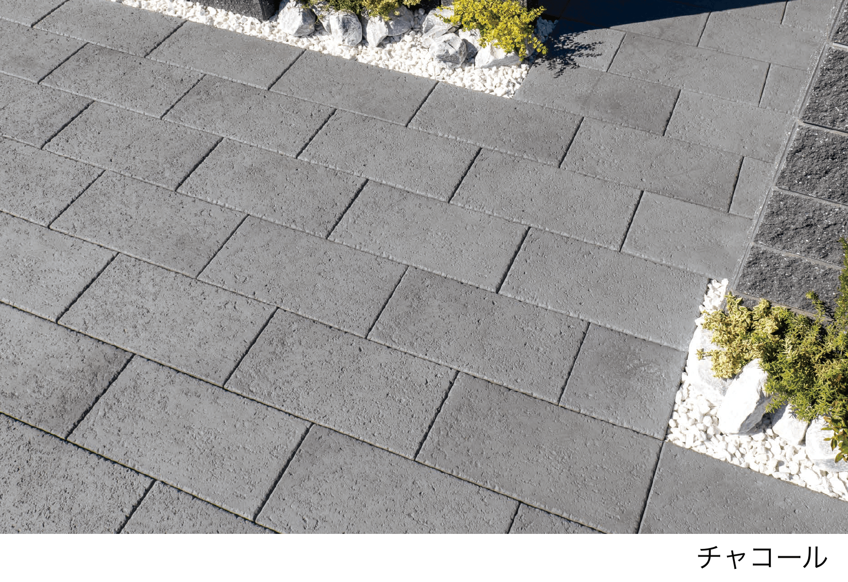 エスビックの「アクシア・ボルケ」