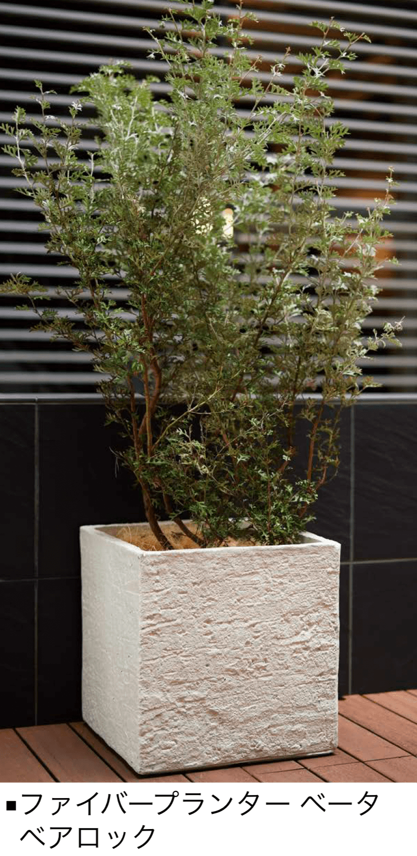 オンリーワンクラブの「ファイバープランター」のサブ画像4