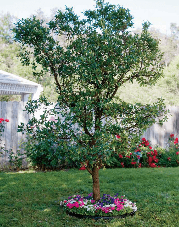 ゆとりの「ゆとり ラウンドエッジ【2023年版】」のサブ画像1