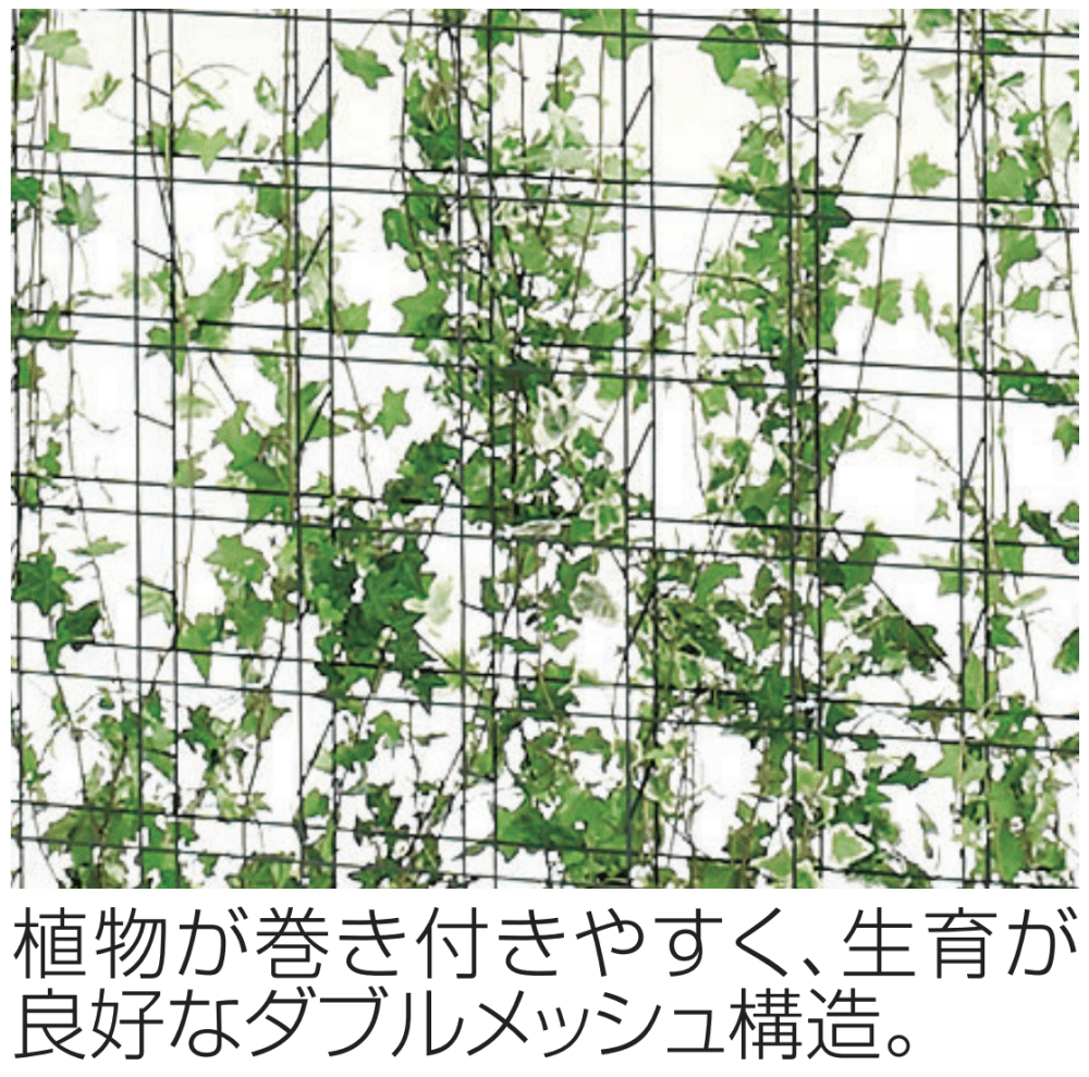 四国化成の「ハイパーテーション(グリーンメッシュタイプ)【2023年版】」のサブ画像2