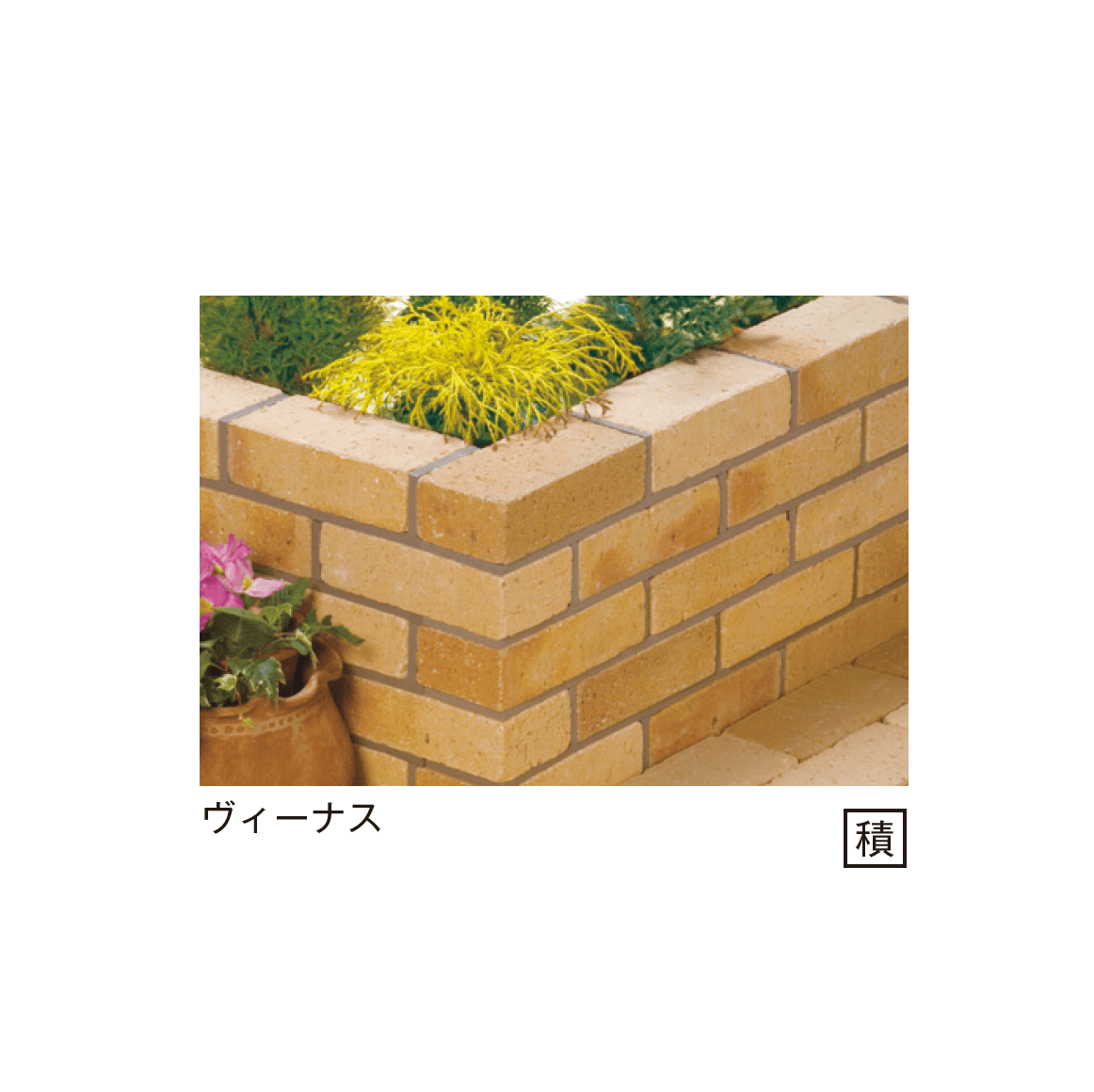 メイクランドの「ステラ」