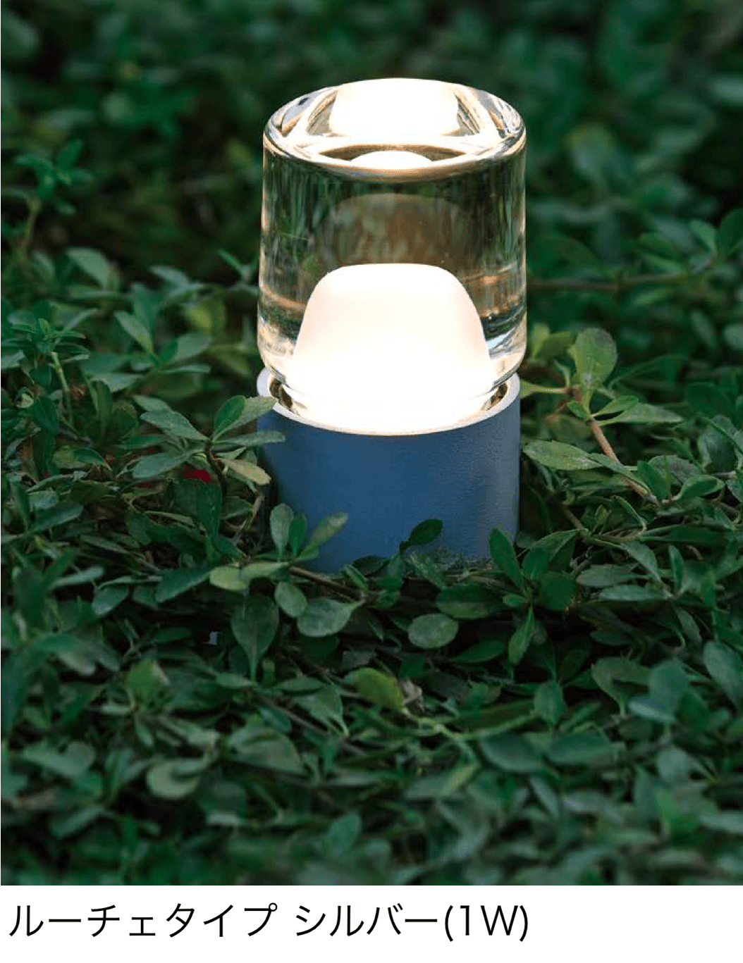 オンリーワンクラブの「プリモ ピコ」