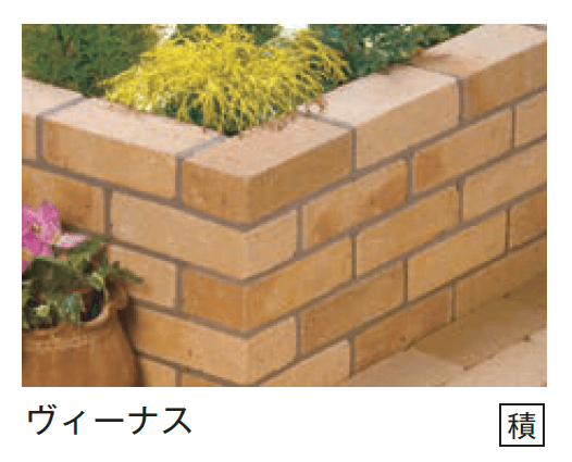 メイクランドの「ステラ」