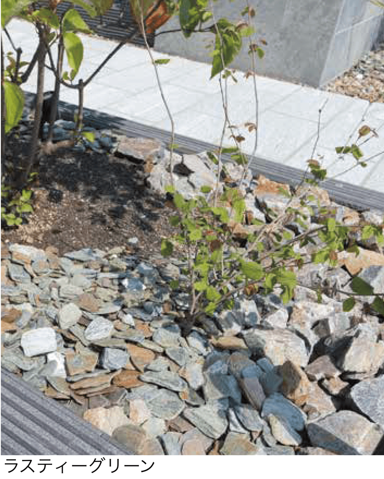 メイクランドの「スレーター」