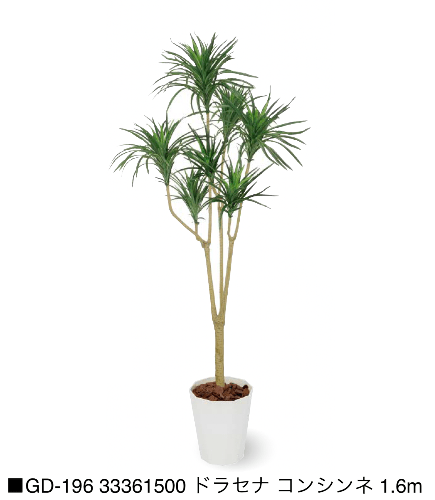 タカショーの「観葉植物【2025年版】」のサブ画像21