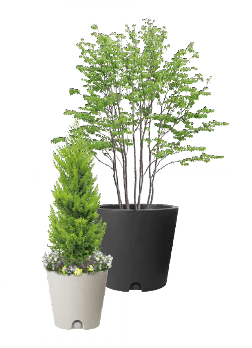 エクシスランドの「タウンプランターWS コニカル」