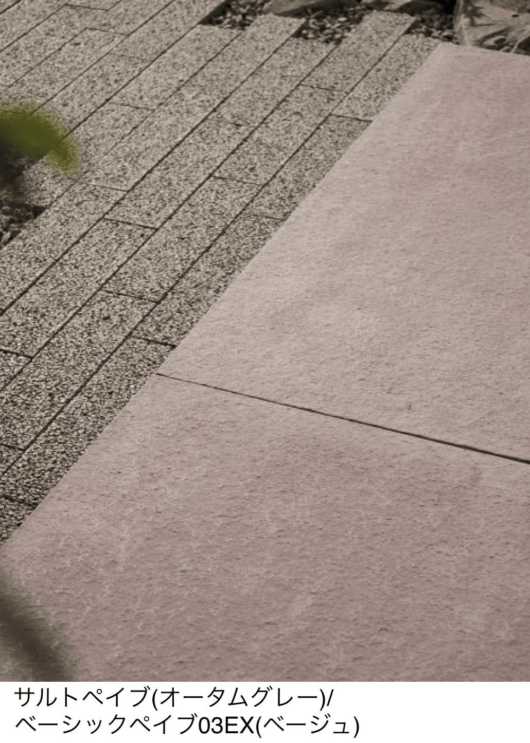 東洋工業の「サルトペイブ」のサブ画像1