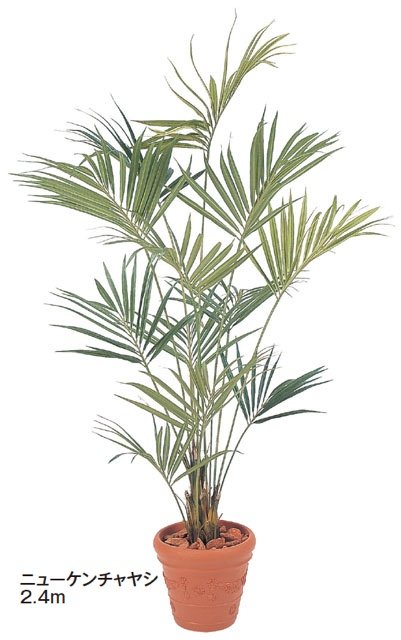 タカショーの「大型人工樹【2024年版】」のサブ画像12