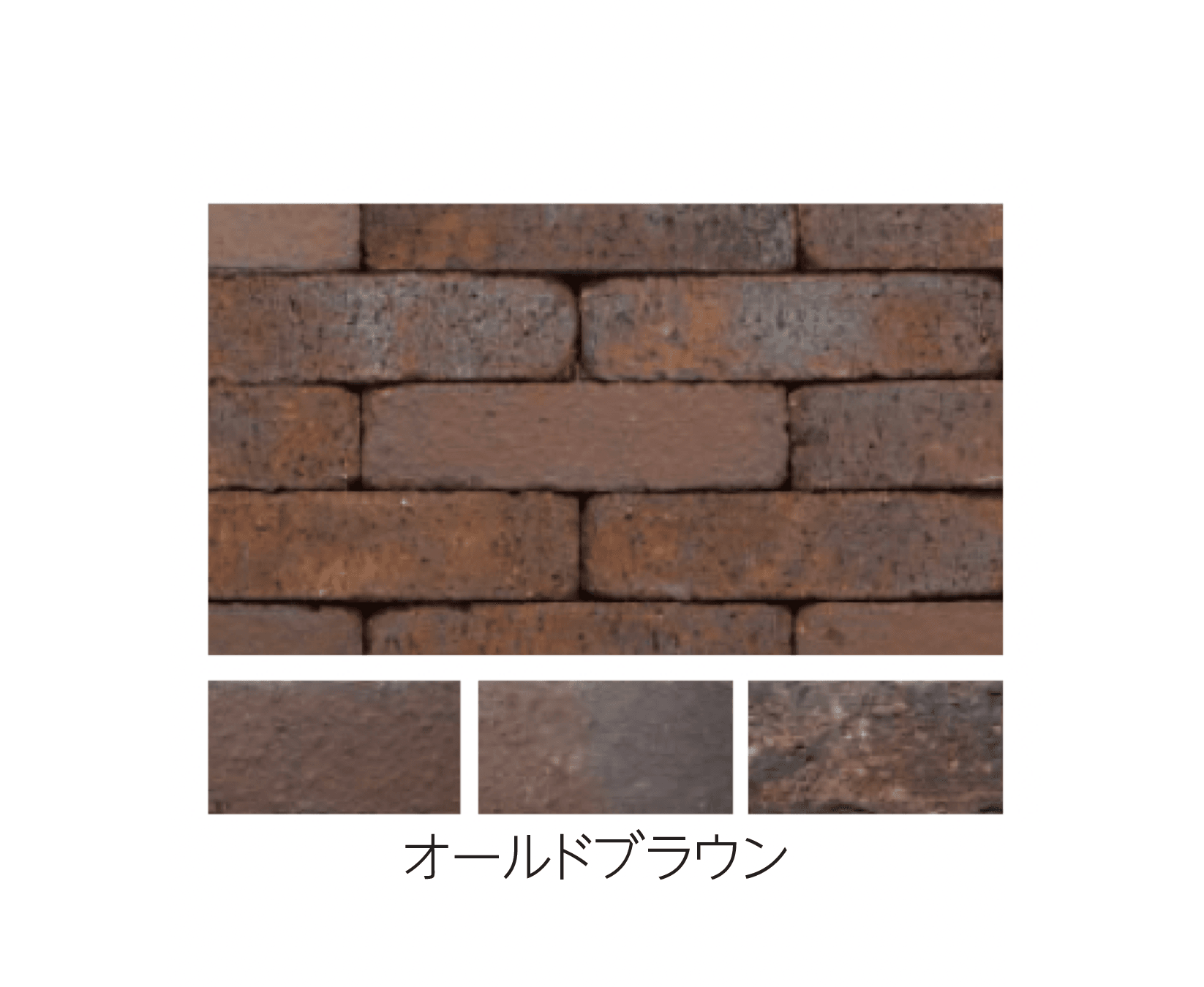 エスビックの「ベルク・ボーダー」のサブ画像3