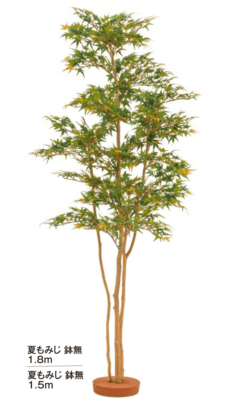 タカショーの「和風もみじ【2024年版】」のサブ画像3