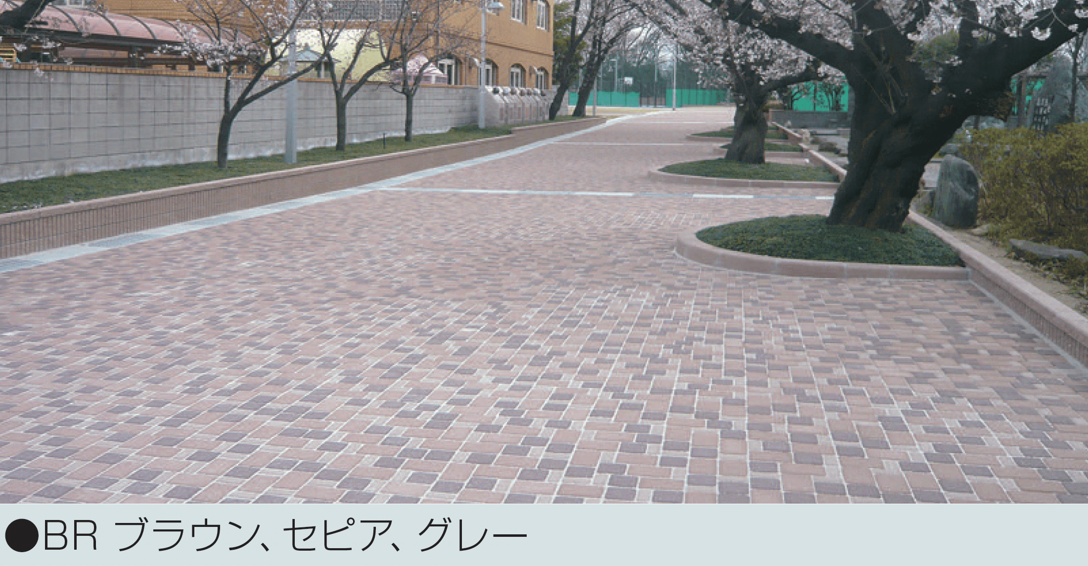 マツオコーポレーションの「コブレックス」