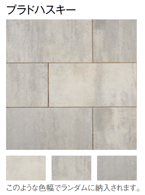 東洋工業の「プラーガペイブ」のサブ画像9