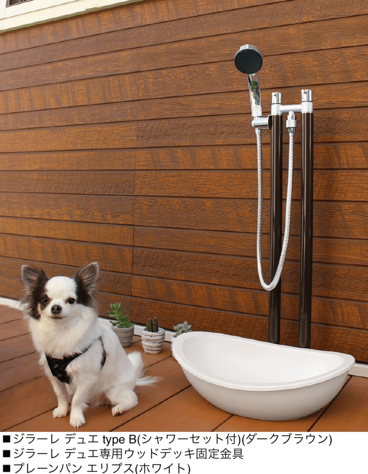 オンリーワンクラブの「ジラーレ デュエ」