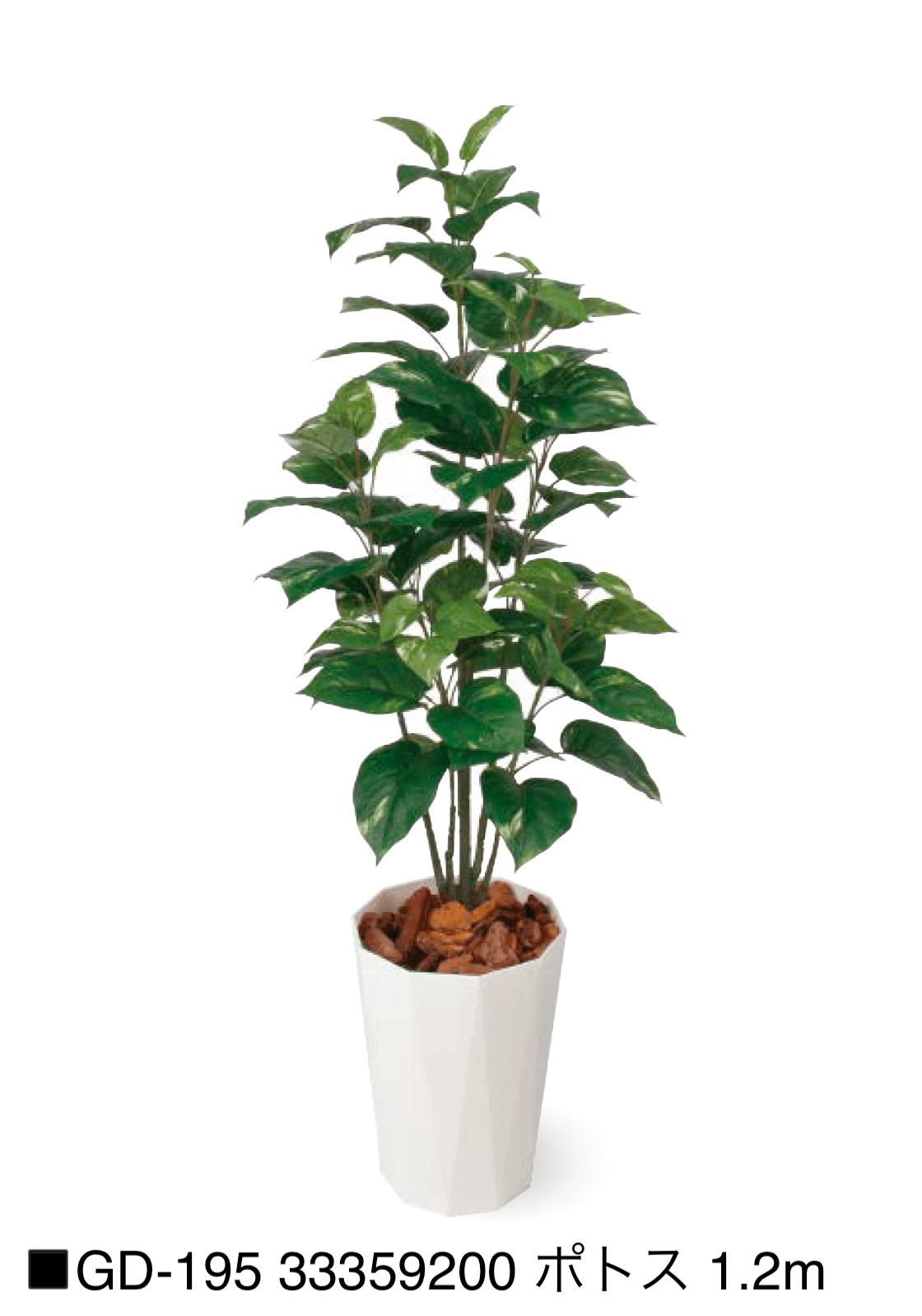 タカショーの「観葉植物【2025年版】」のサブ画像16