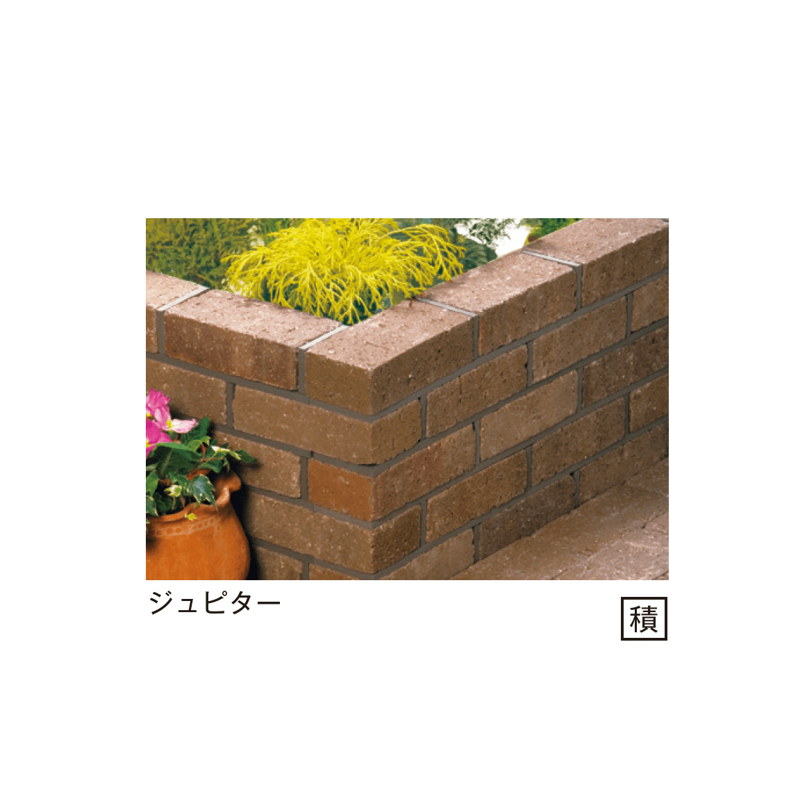 メイクランドの「ステラ」のサブ画像2