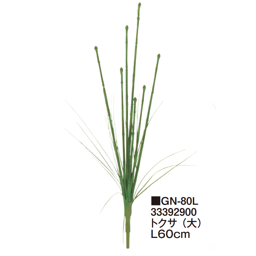 タカショーの「グランドカバー 下草【2025年版】」のサブ画像14