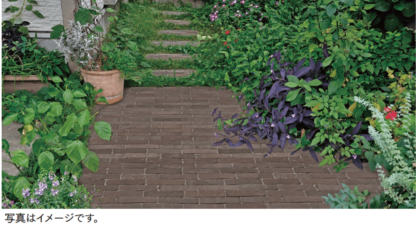 マチダコーポレーションの「ティックル」