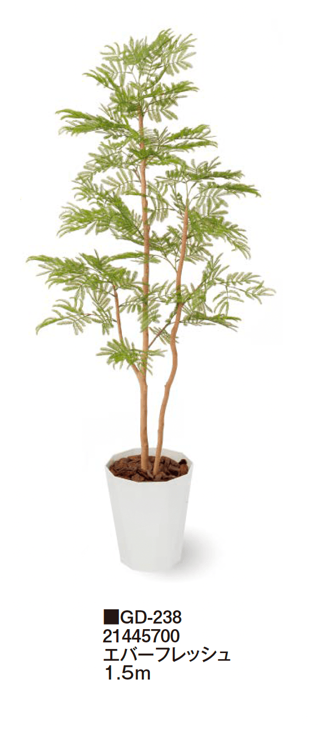 タカショーの「観葉植物【2024年版】」のサブ画像32