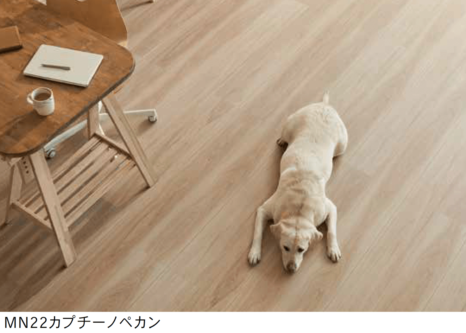 Bullsの「BOW FLOOR <バウフロアー>」