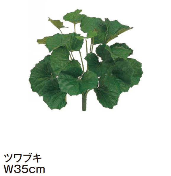 タカショーの「グランドカバー 下草【2024年版】」のサブ画像10