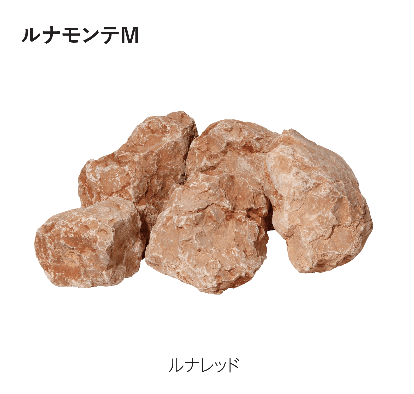 エスビックの「ルナモンテM/ルナモンテS」のサブ画像3