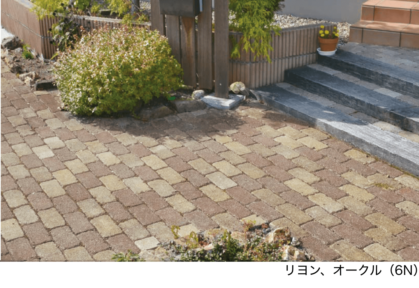 エスビックの「ロシェ・ヴィンテージ」のサブ画像2