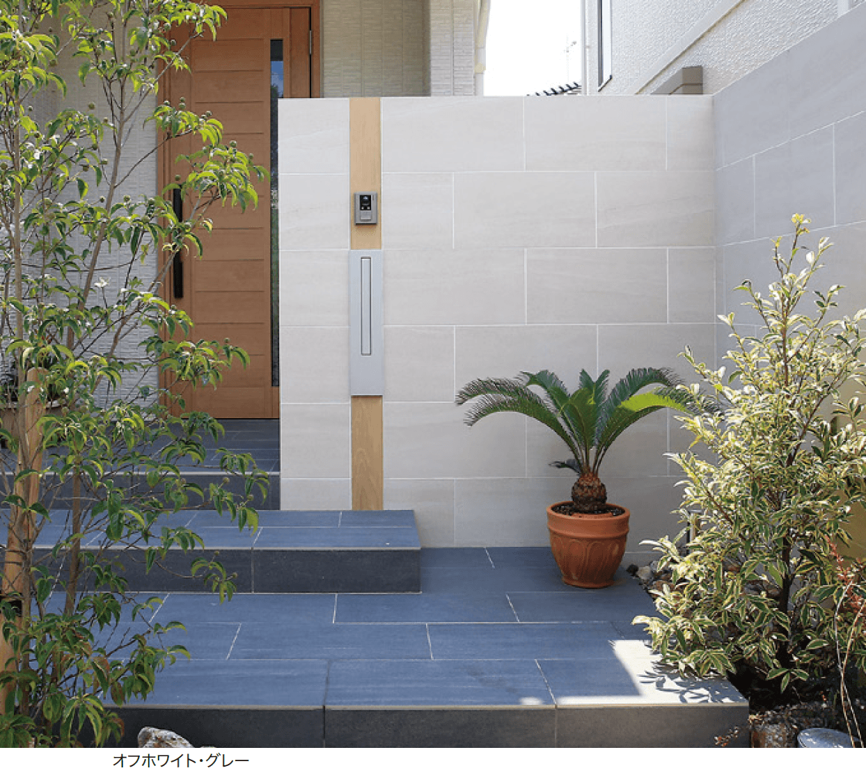 ゆとりの「セラ マイカ【2023年版】」