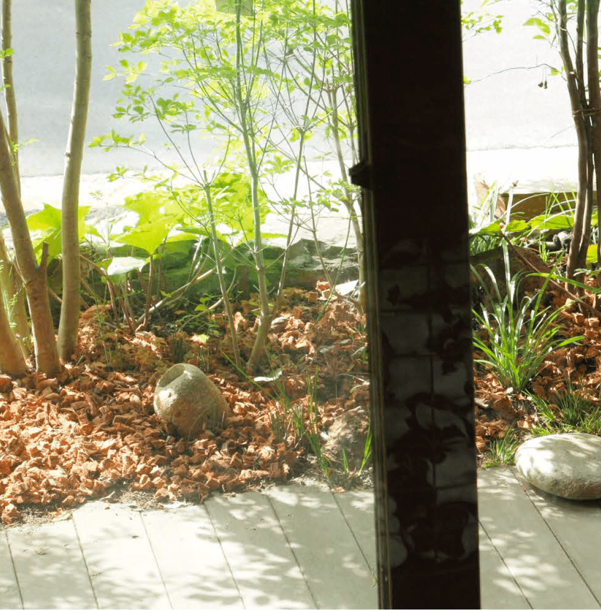 オンリーワンクラブの「ヤシの実チップ ベラボン」