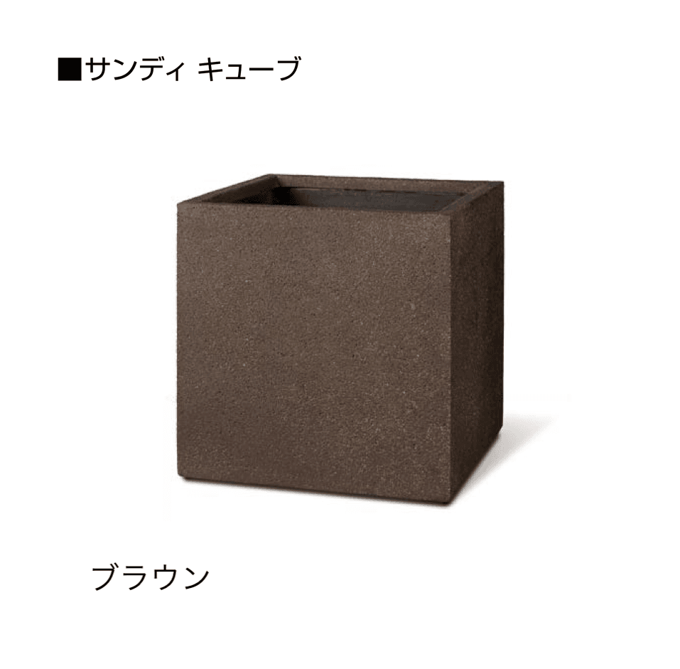 オンリーワンクラブの「サンディ」のサブ画像18