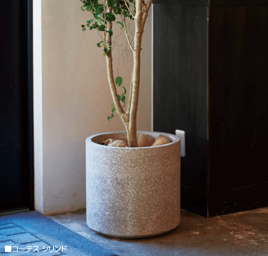 オンリーワンクラブの「コーテス」のサブ画像1