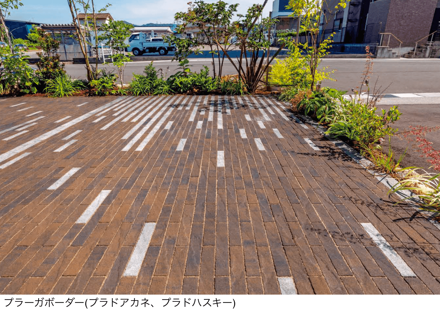 東洋工業の「プラーガボーダー【2024年版】」