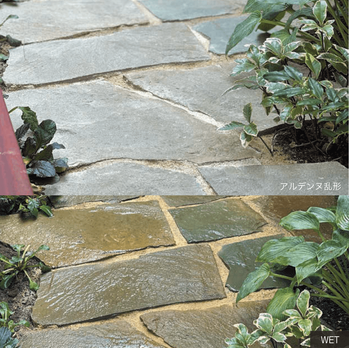 オンリーワンクラブの「アルデンヌ」のサブ画像3