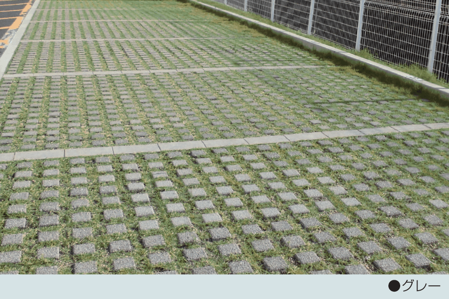 マツオコーポレーションの「グリーン71【2024年版】」