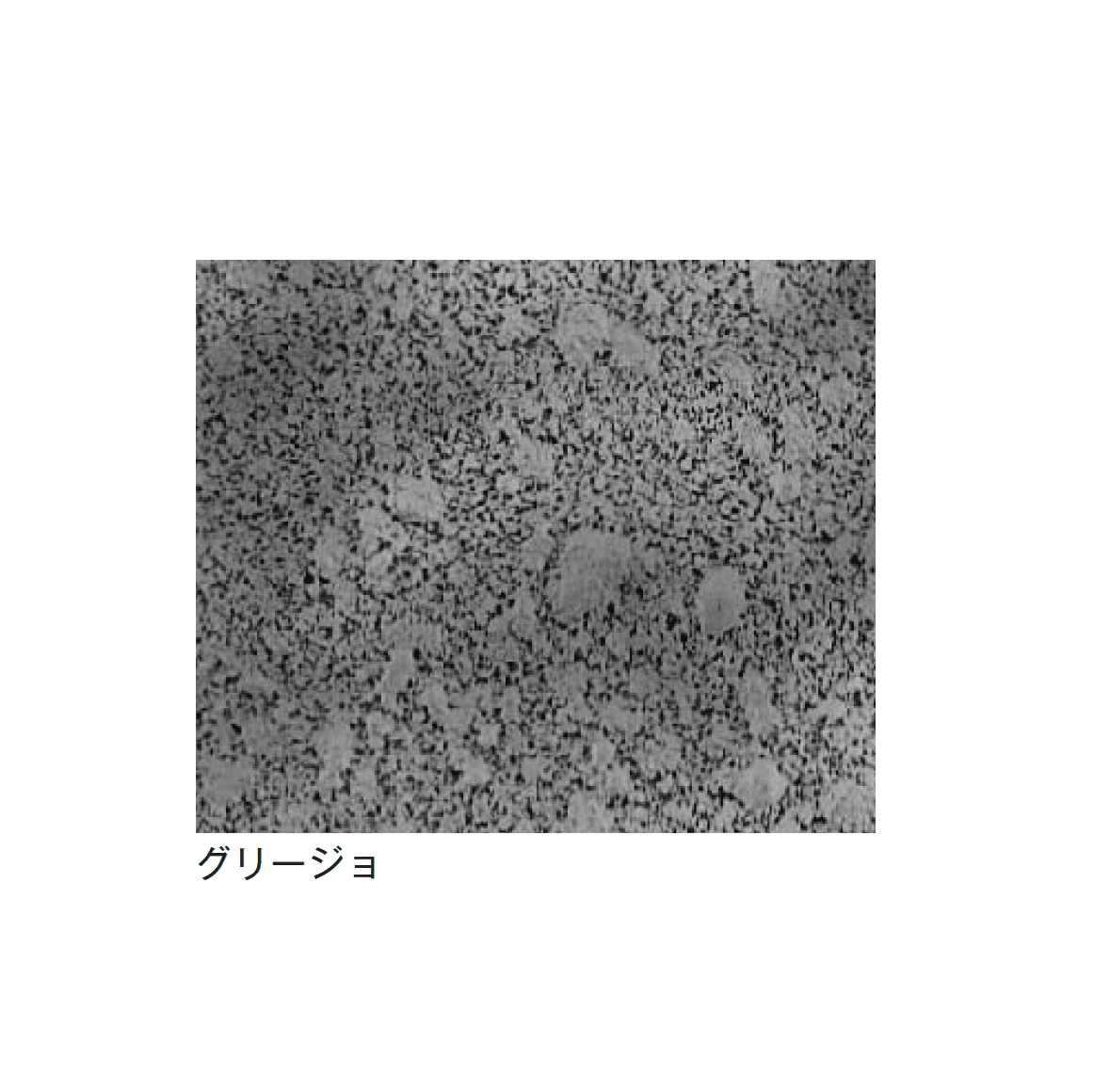 メイクランドの「デックコートステンシル」のサブ画像8
