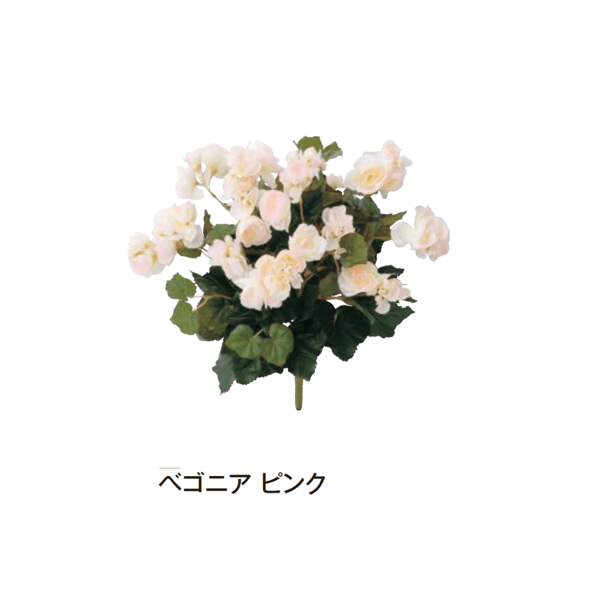 タカショーの「グランドカバー 下草」のサブ画像3