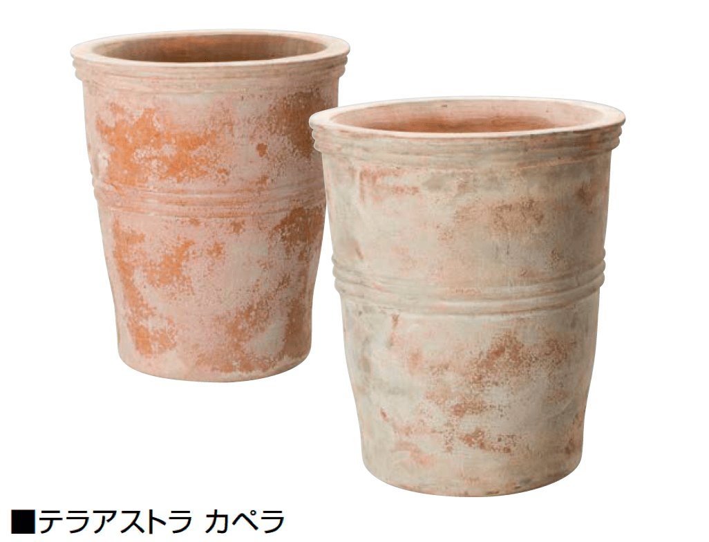 オンリーワンクラブの「テラアストラ」のサブ画像6